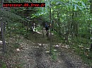 ariege (58a)