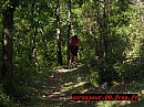 RIMG0078.JPG RIMG0078.JPG